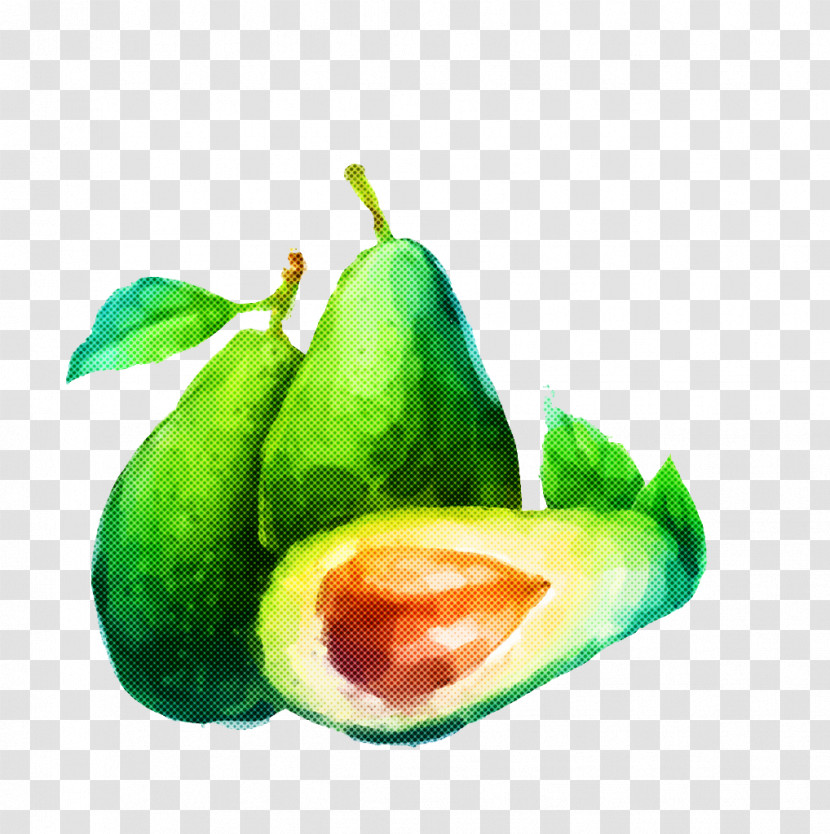 Avocado Transparent PNG