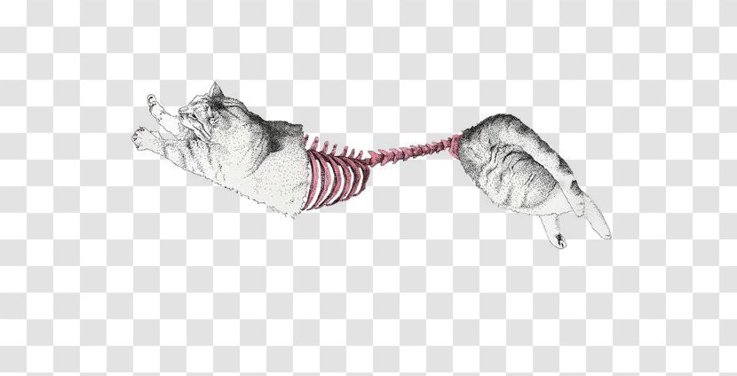 Painting Art Graphic Design Drawing Illustration - Work Of - Cat Skeleton Transparent PNG