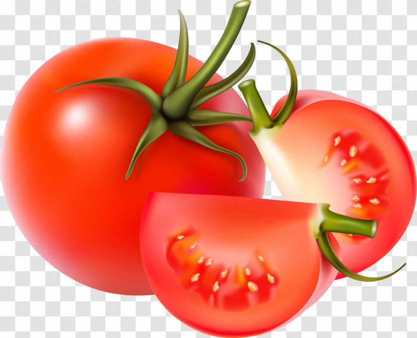 Blue Tomato Tomatosphere Vegetable Stock - Diet Food Transparent PNG