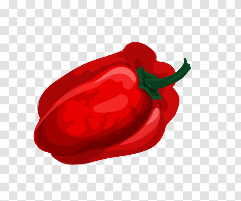 Bell Pepper Chili Vegetable - Nightshade Family - Red Transparent PNG