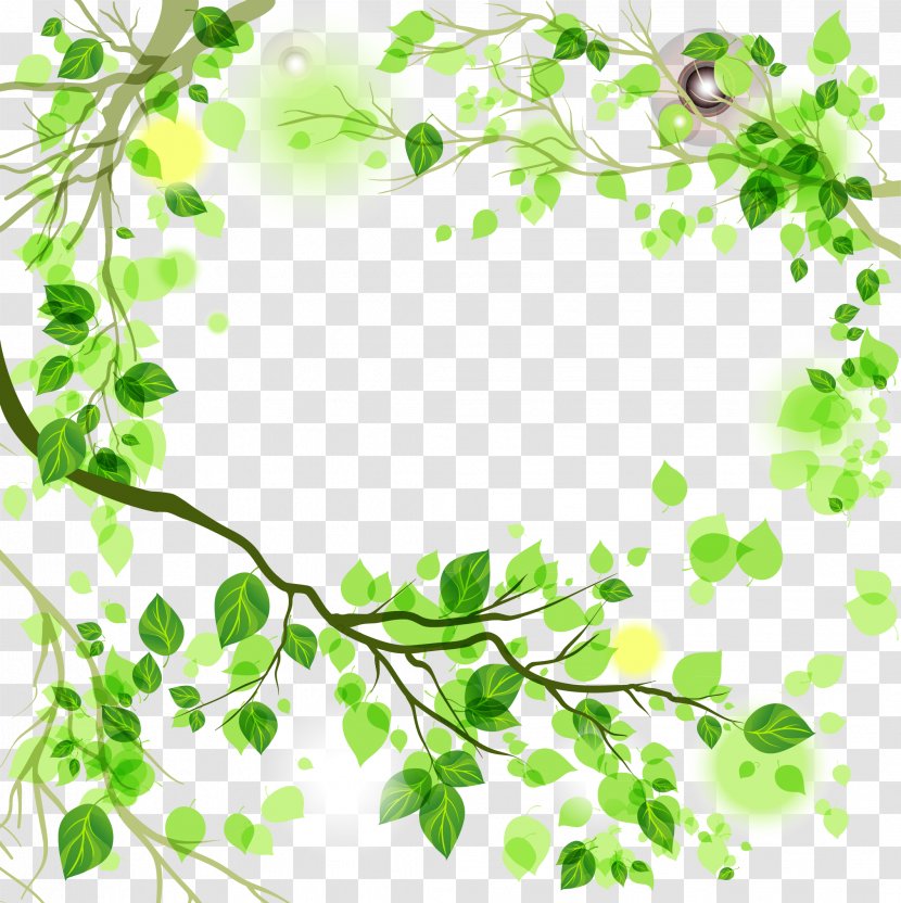 Leaf Green - Color - Vine Transparent PNG