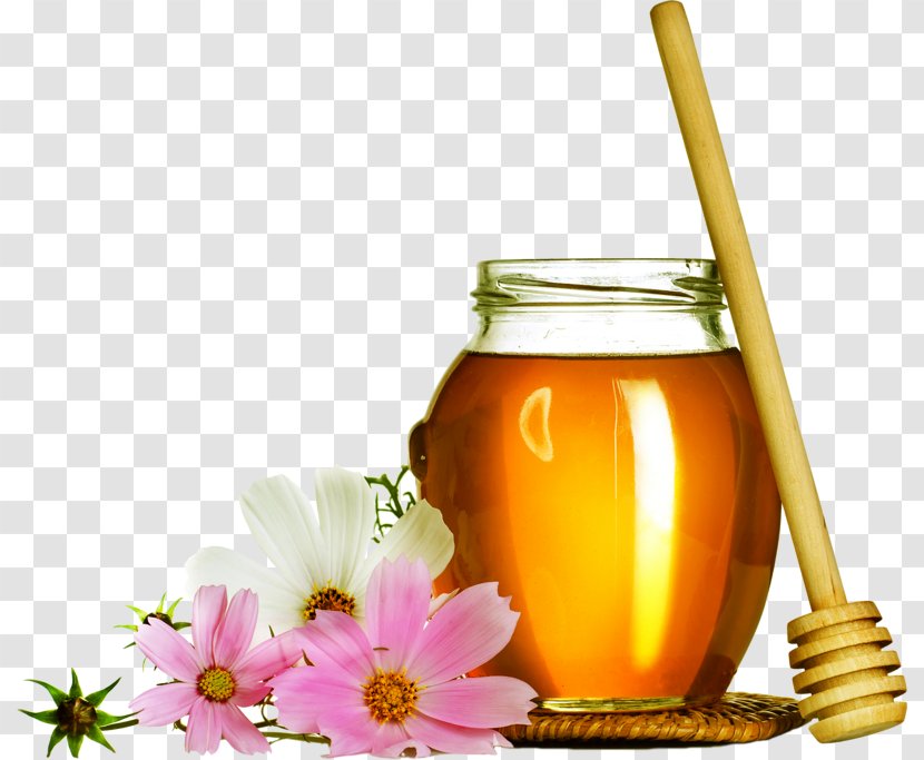 Honey Bee Beekeeping Pekmez - Nectar Transparent PNG