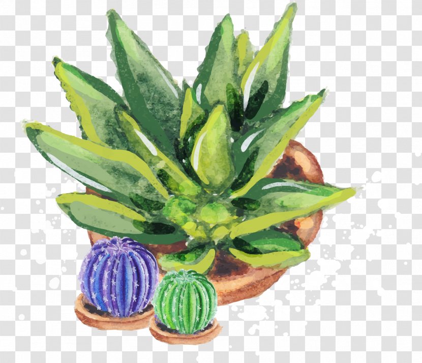Aloe Vera Euclidean Vector Vecteur Cactaceae - Watercolor Painting - Cactus Transparent PNG