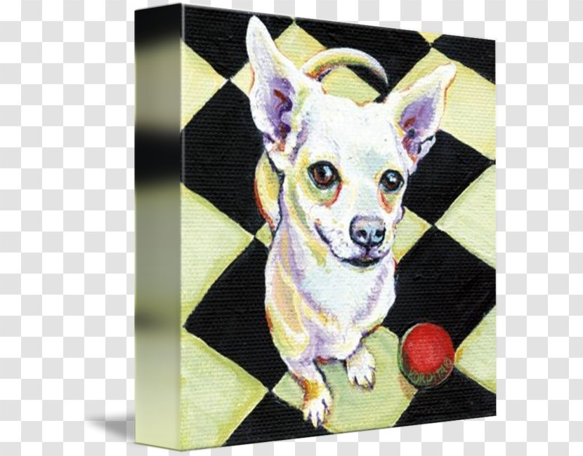 Chihuahua Dog Breed Toy Painting Transparent PNG