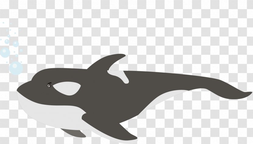 Moby-Dick Dolphin Beluga Whale - Animal - An Effervescent Transparent PNG