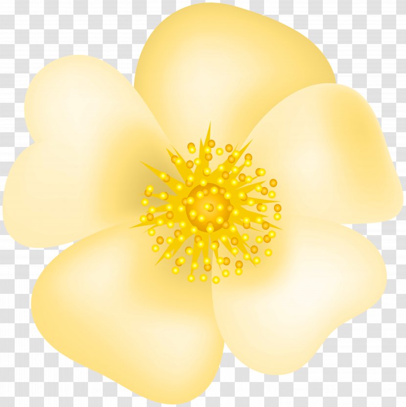 Petal Yellow Commodity - Rose Blossom Transparent Clip Art Image Transparent PNG
