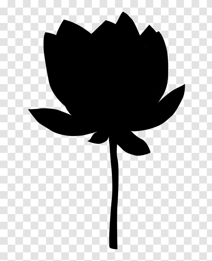 Petal Vector Graphics Sacred Lotus Flower Floral Design - Bouquet - Silhouette Transparent PNG