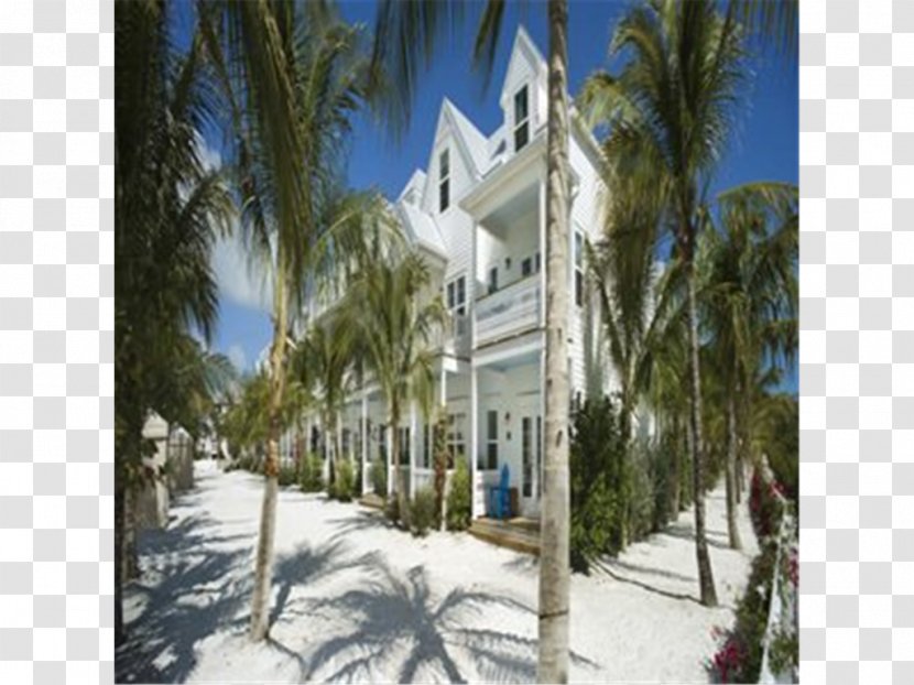 Palm Trees Property Villa Winter Tourism - Real Estate - Key West Transparent PNG