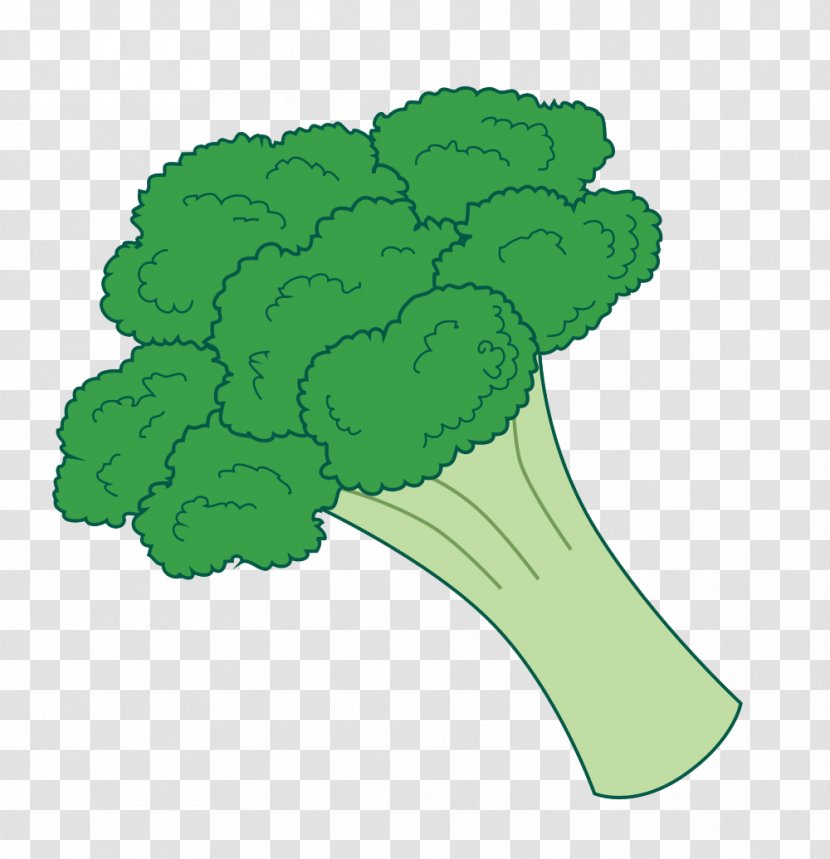 Broccoli Slaw Vegetable Clip Art - Organism - Cliparts Transparent PNG