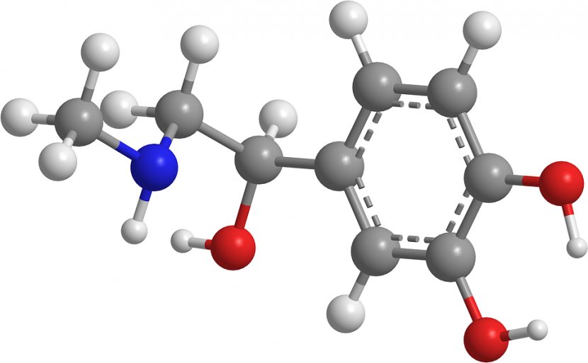 Particle Physics Organic Chemistry Science Carboxylic Acid - Iitjee Transparent PNG