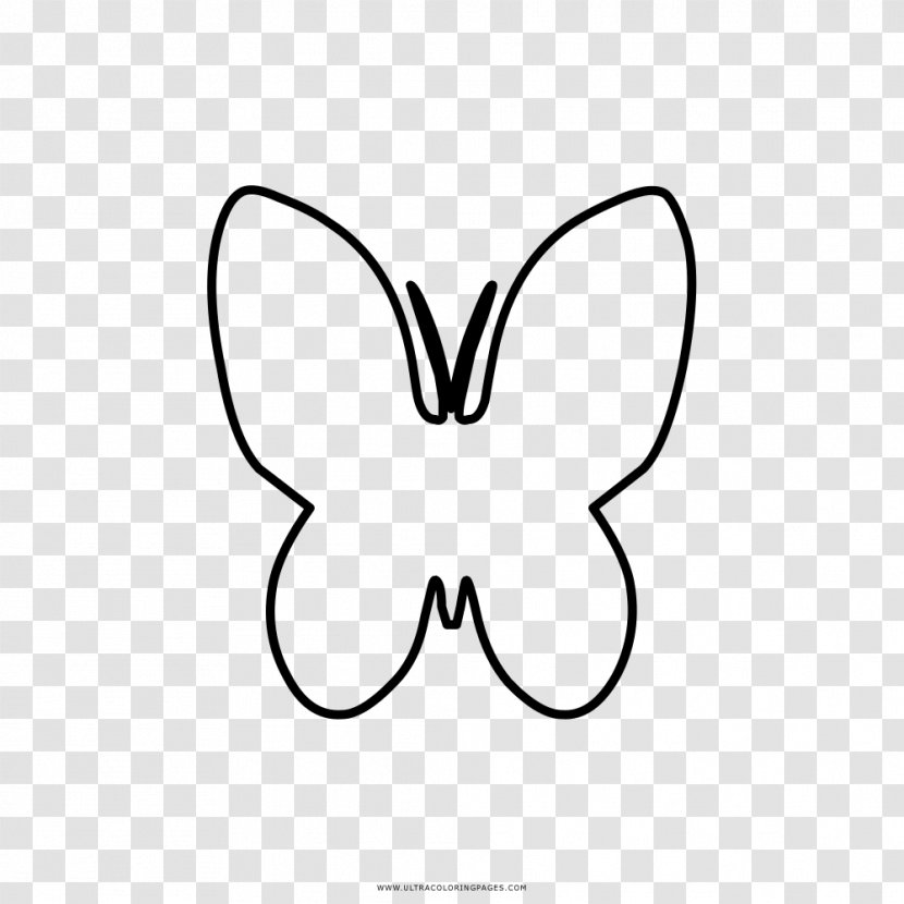 Butterfly Drawing Coloring Book Clip Art - Frame Transparent PNG