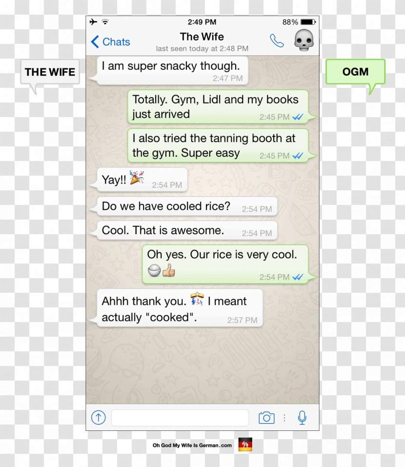 WhatsApp Message Text Messaging Love Online Chat - Software - Whatsapp Transparent PNG