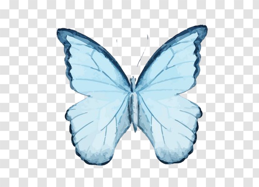 Butterfly Watercolor Painting Drawing Illustration - Symmetry - Blue Free To Pull The Material Transparent PNG