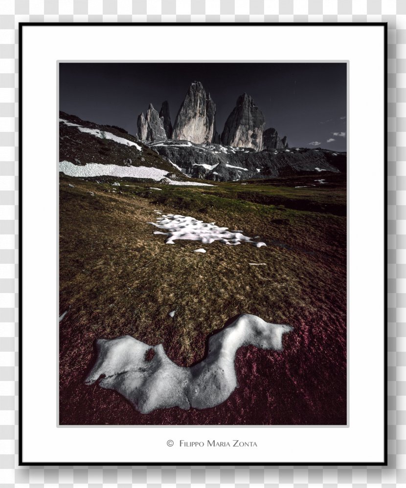 Horse Picture Frames Animal White Mammal - Frame - Fine Art Transparent PNG