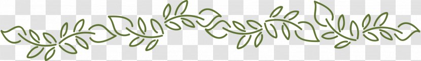 Twig Grasses Plant Stem Herb Font - Grass - Elegant Bride Transparent PNG