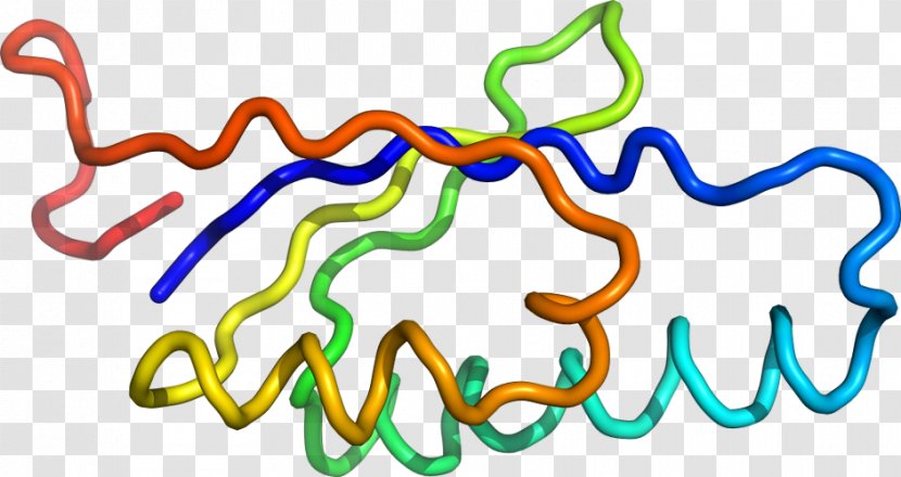 Organism Line Clip Art Transparent PNG