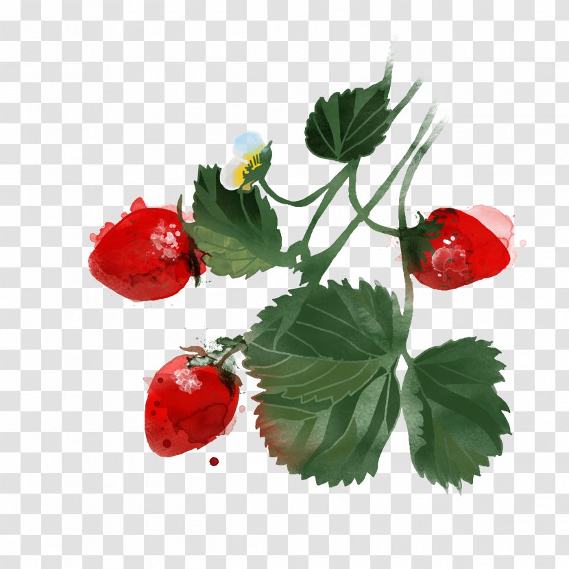Berry Watercolor Painting Drawing Illustration - Strawberry - Hand-painted Transparent PNG