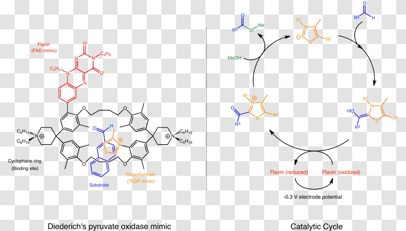 Supramolecular Catalysis Chemistry Pyruvate Oxidase - Noncovalent Interactions - Petal Transparent PNG