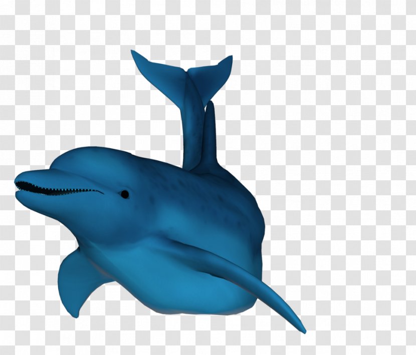 Dolphin Cetacea Symbol - Marine Mammal Transparent PNG