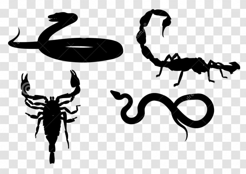 Scorpion Signs Of The Zodiac: Scorpio Royalty-free Transparent PNG