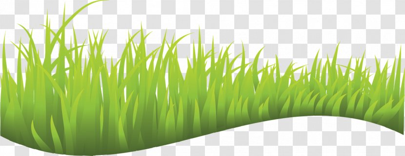 Vector Graphics Clip Art Lawn Image Royalty-free - Meadow - Grass Drawing Transparent PNG