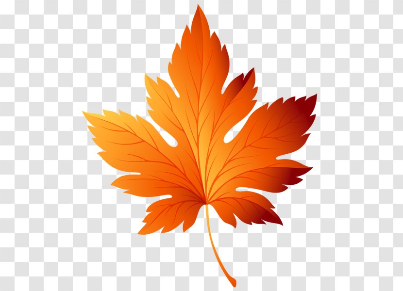 Autumn Leaf Color Clip Art - Maple - The Harvest Transparent PNG