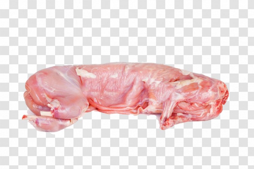 European Rabbit Meat Chicken - Silhouette - Raw Transparent PNG