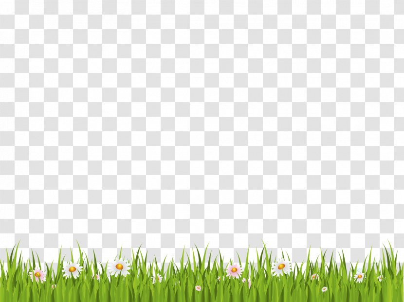Download Clip Art - Lawn - Grass Transparent PNG