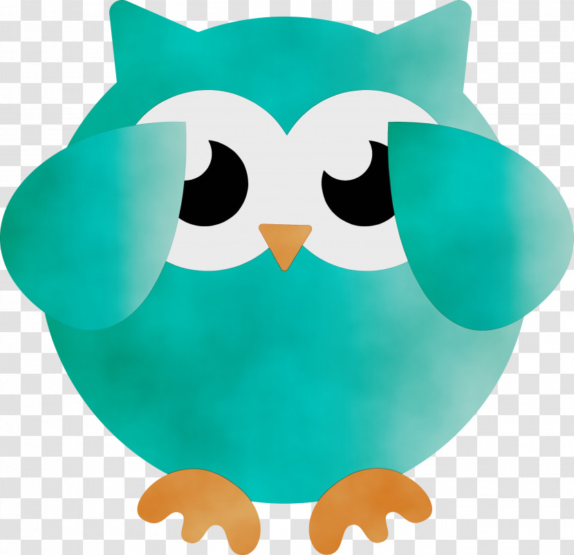 Birds Beak Bird Of Prey Owl M Teal Transparent PNG