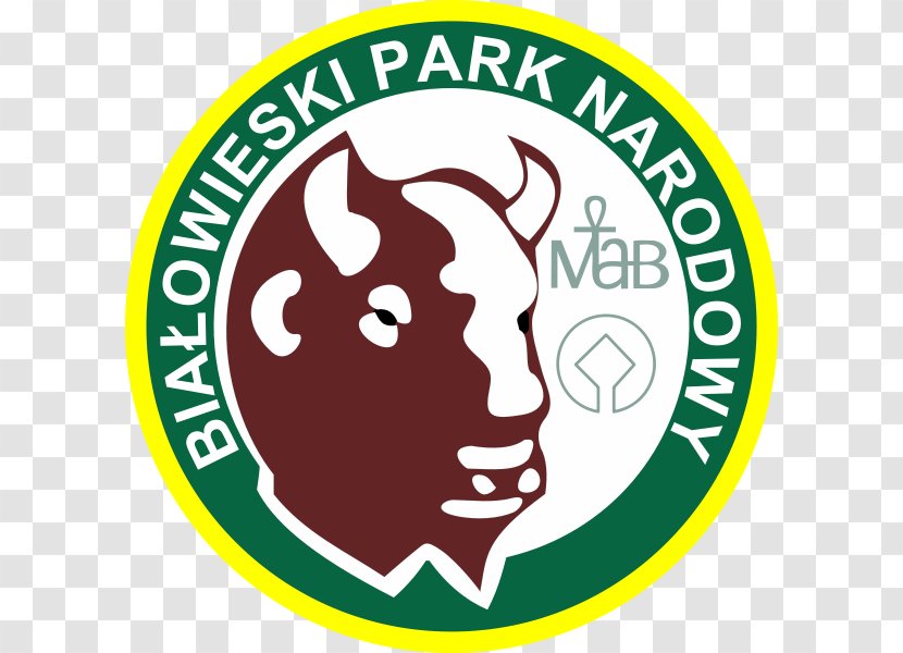 Białowieża National Park Drawa Transparent PNG