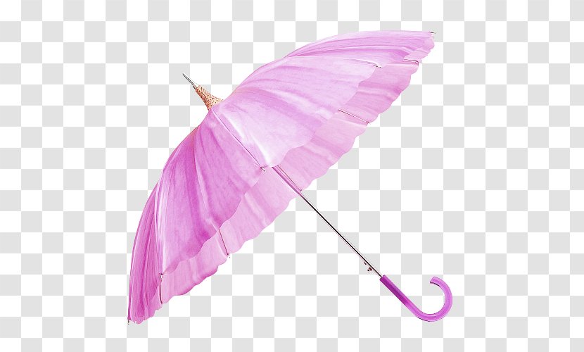 Umbrella Pink Fashion - Designer - Purple Fresh Petal Decorative Pattern Transparent PNG