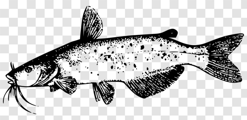 Fish Cartoon - Blue Catfish - Bonyfish Brown Trout Transparent PNG
