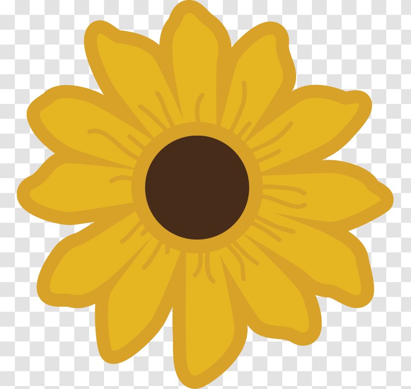 Common Sunflower Clip Art - Color - Sunflowers Transparent PNG