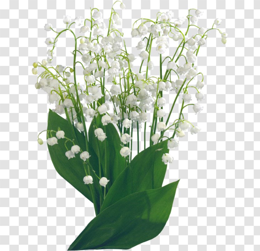 Landishi Clip Art - Digital Image - Flower Bouquet Transparent PNG