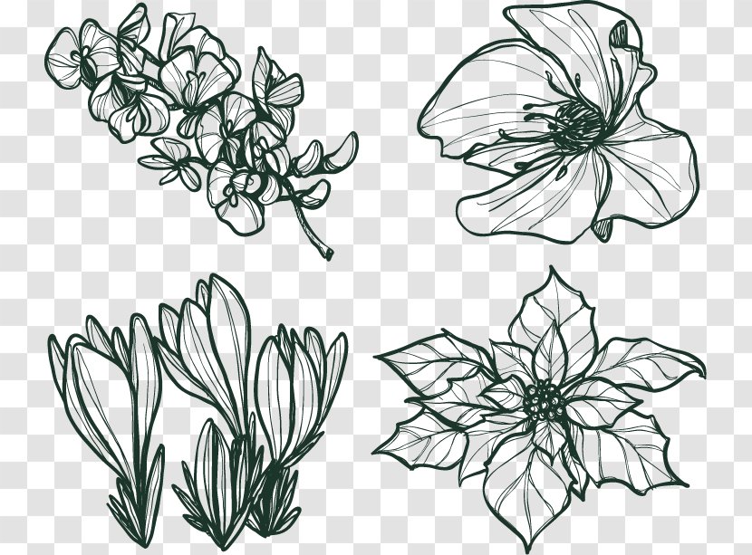 Euclidean Vector Flower Poinsettia Winter - Leaf - Four Kinds Of Hand-painted Pattern Transparent PNG