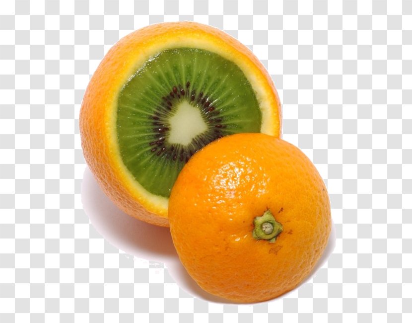 Clementine Tangelo Mandarin Orange Tangerine Fruit Salad Transparent PNG