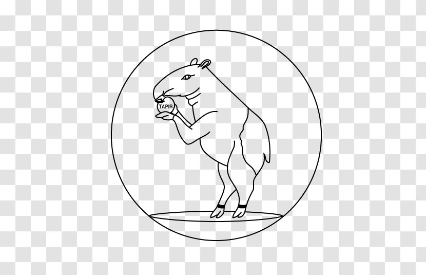 Canidae Drawing Line Art Bear Clip - Mammal - Tapirs Transparent PNG