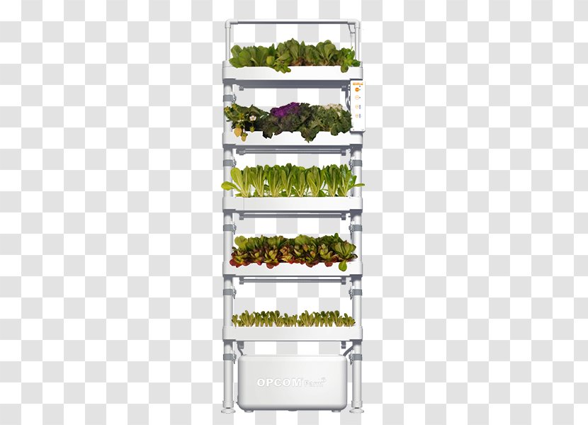 Hydroponics Green Wall Flowerpot Gardening - System - Hydropower Station Transparent PNG