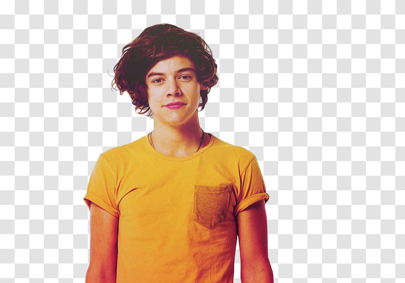 Harry Styles The X Factor One Direction - Silhouette - Sytle Transparent PNG