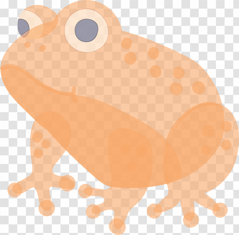 Toad Anaxyrus Wood Frog Frog True Frog Transparent PNG