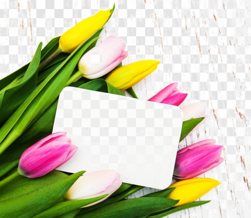 Tulip Flower Poster - Raster Graphics - Beautiful Tulips And A Card Transparent PNG