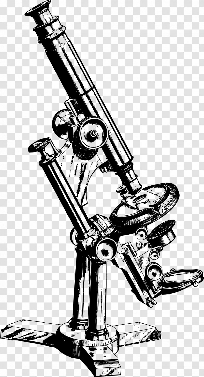 Microscope Drawing Clip Art - Royaltyfree Transparent PNG