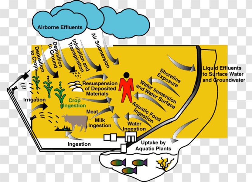 San Ildefonso Pueblo Puebloans Natural Resource - Yellow - Scientific Earthquake Scales Transparent PNG