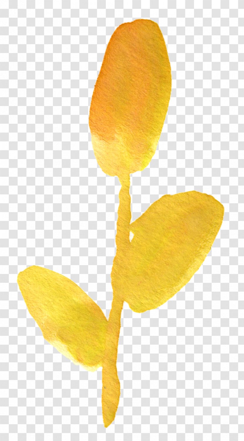 Flower Watercolor Painting Floral Design Clip Art - Petal - Yellow Transparent PNG