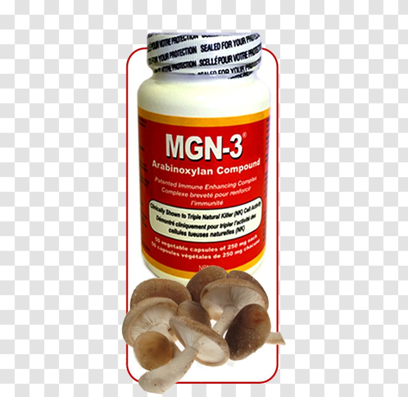 Ecomax MGN-3 500mg 50 Veggie Caps 250mg -Regular Strength- Biobran Arabinoxylan Compound AHCC (50 Vegetarian Capsules) By Lane Labs (MGN3 MGN 3) Brand: Daiwa Health Development Product Ingredient - Vegetarianism - Shiitake Mushroom Transparent PNG