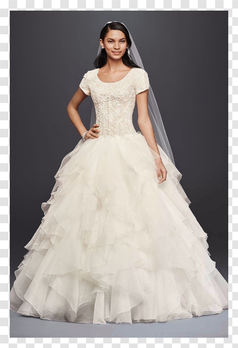 Wedding Dress David's Bridal Sleeve Ball Gown - Heart Transparent PNG