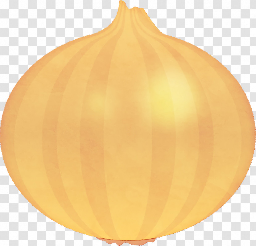 Yellow Onion Calabaza Squash Winter Squash Onion Transparent PNG