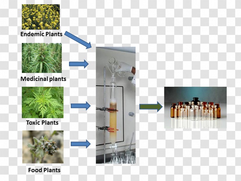 Plant Chemistry Brand - Nature Transparent PNG