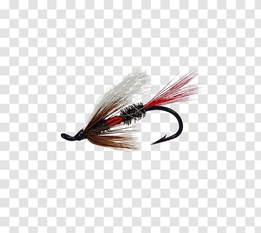 Artificial Fly Fishing Royal Coachman Crazy Charlie Rainbow Trout - Cartoon - Frame Transparent PNG