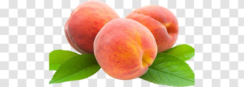 Peach Clip Art - Food Transparent PNG